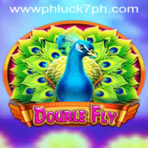 DoubleFly: The Ultimate Gaming Adventure